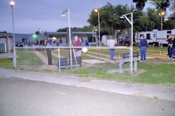 Horseshoes